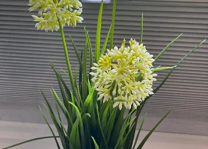 Haus Der Traeume Casa de Férias Damp